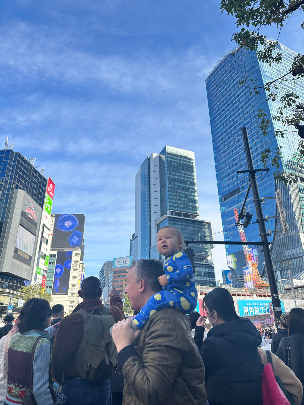 Blues Blooms Premium Cotton Long Sleeve Zip Up Onesie with Hand and Foot Covers