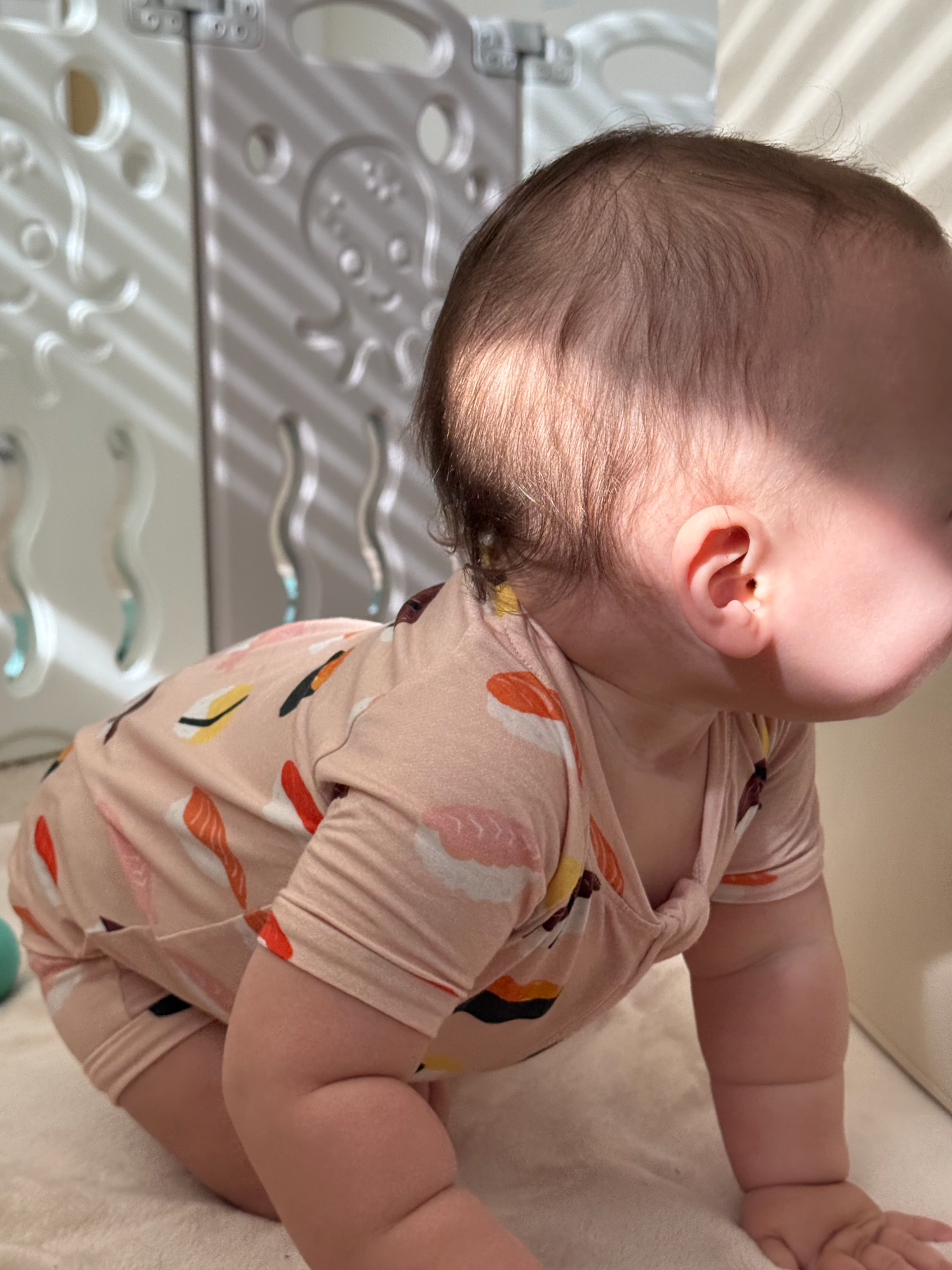 Sushi Lover Premium Bamboo Short Sleeve Zip Up Onesie